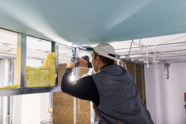 Best Insulation Replacement Services  in USA