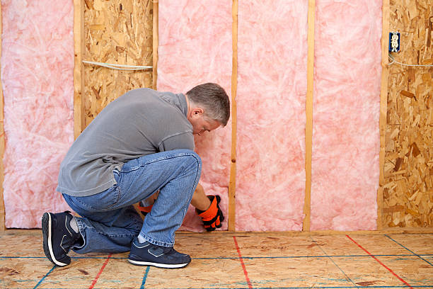 Best Cellulose Insulation  in USA